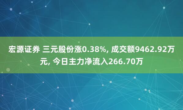 宏源证券 三元股份涨0.38%, 成交额9462.92万元, 今日主力净流入266.70万