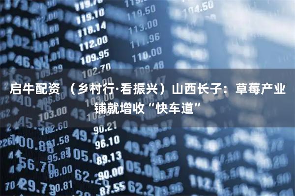 启牛配资 （乡村行·看振兴）山西长子：草莓产业铺就增收“快车道”