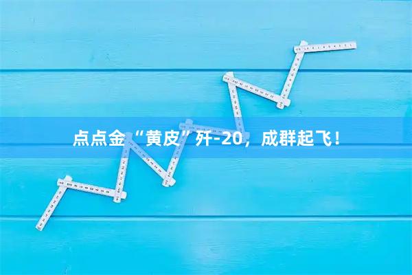 点点金 “黄皮”歼-20，成群起飞！