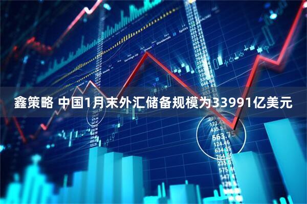 鑫策略 中国1月末外汇储备规模为33991亿美元