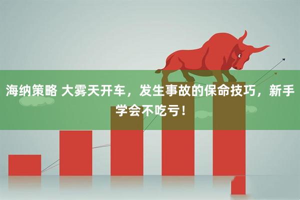海纳策略 大雾天开车，发生事故的保命技巧，新手学会不吃亏！